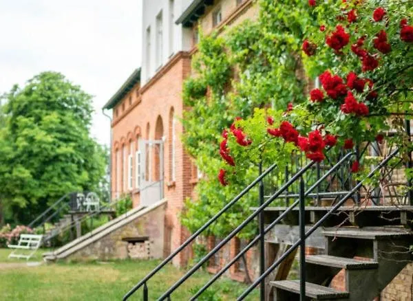 Two-storey With Terrace And Garden * Alt Suhrkow